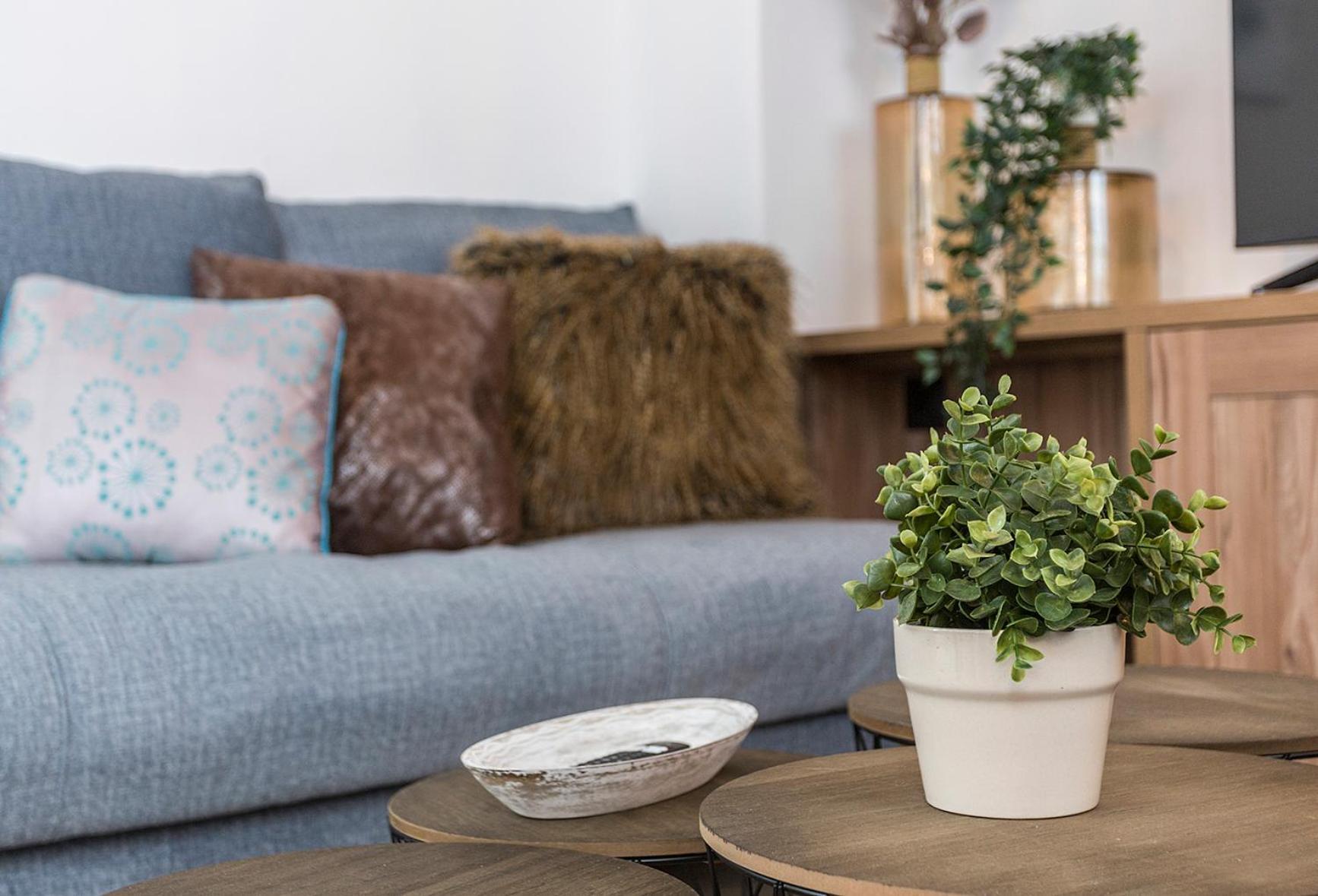 San Miguel Tranquilo Moderno Apartment เฮเรซ เด ลาฟรอนเตรา ภายนอก รูปภาพ
