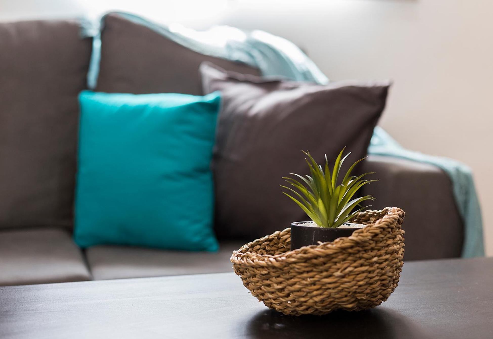 San Miguel Tranquilo Moderno Apartment เฮเรซ เด ลาฟรอนเตรา ภายนอก รูปภาพ